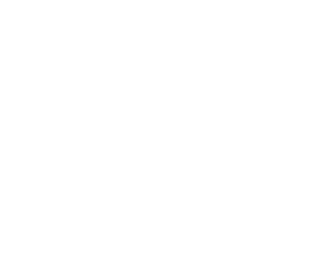 Baren i Midten