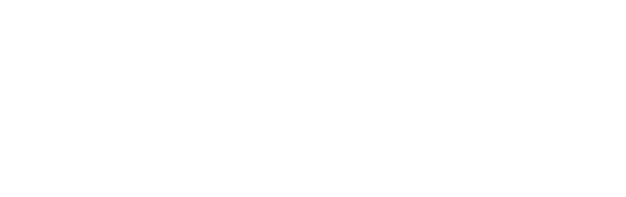 Viborg Snapsting 2026